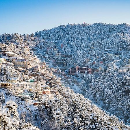 Mountain Zest-Simla Royale Near Mall Road-Free Pickup From Railway Station Simla Dış mekan fotoğraf