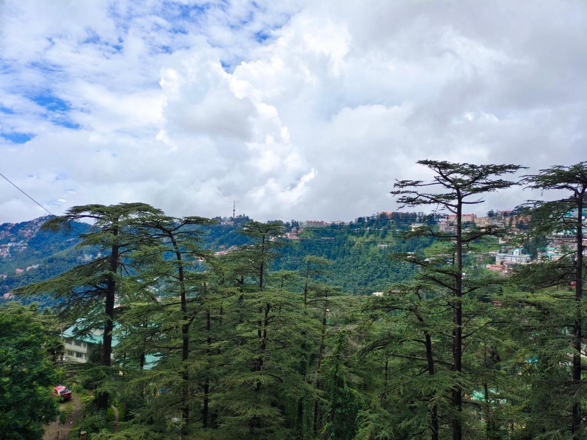 Mountain Zest-Simla Royale Near Mall Road-Free Pickup From Railway Station Simla Dış mekan fotoğraf